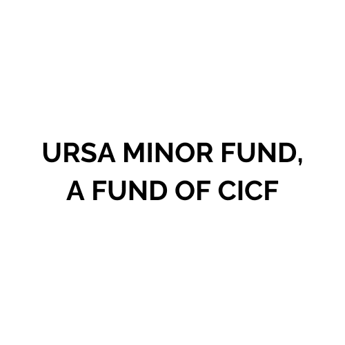 URSA minor fund, a fund of CICF