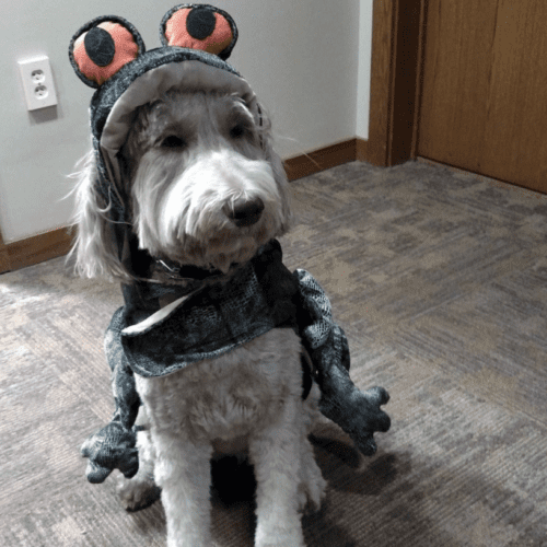Mac in frog costume